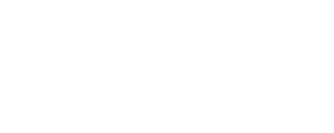 FENIX MERCHANDISING GROUP